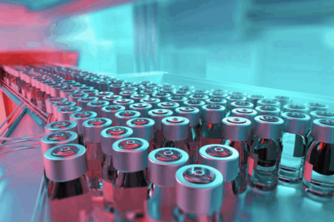 project management services